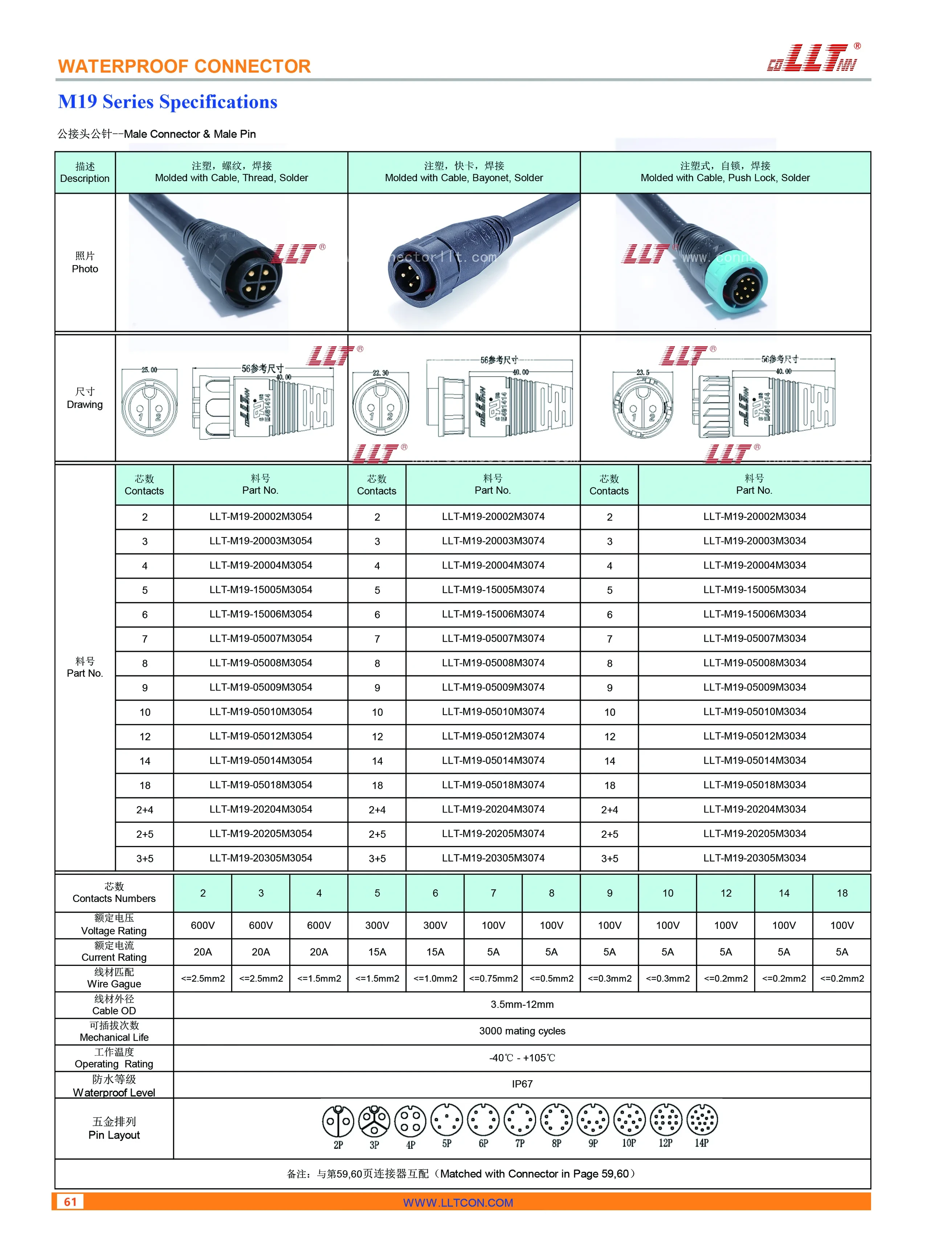 M19注塑式公针公接头 2623x3437 3